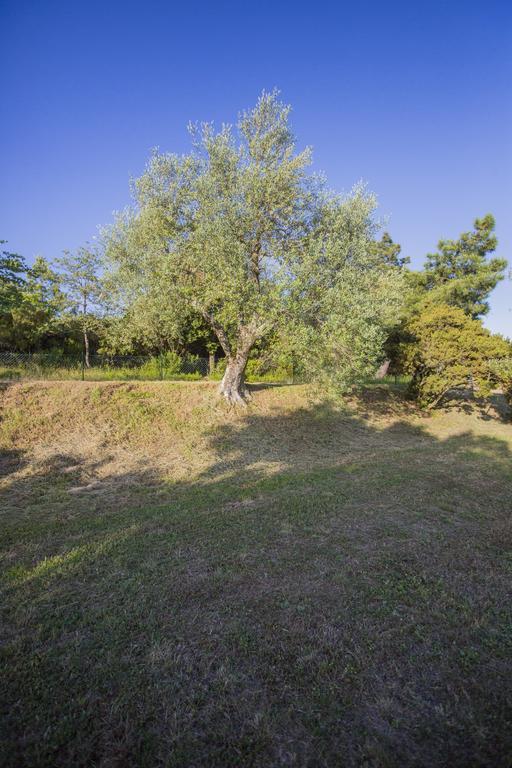 Casa Contea Villa Terontola Cameră foto